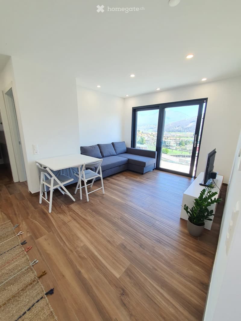 Appartamento ammobiliato 2,5 locali (4)