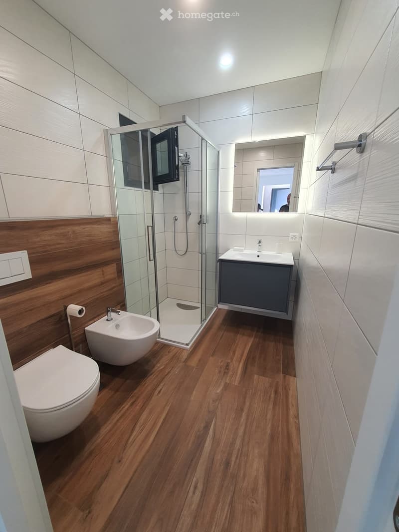Appartamento ammobiliato 2,5 locali (5)