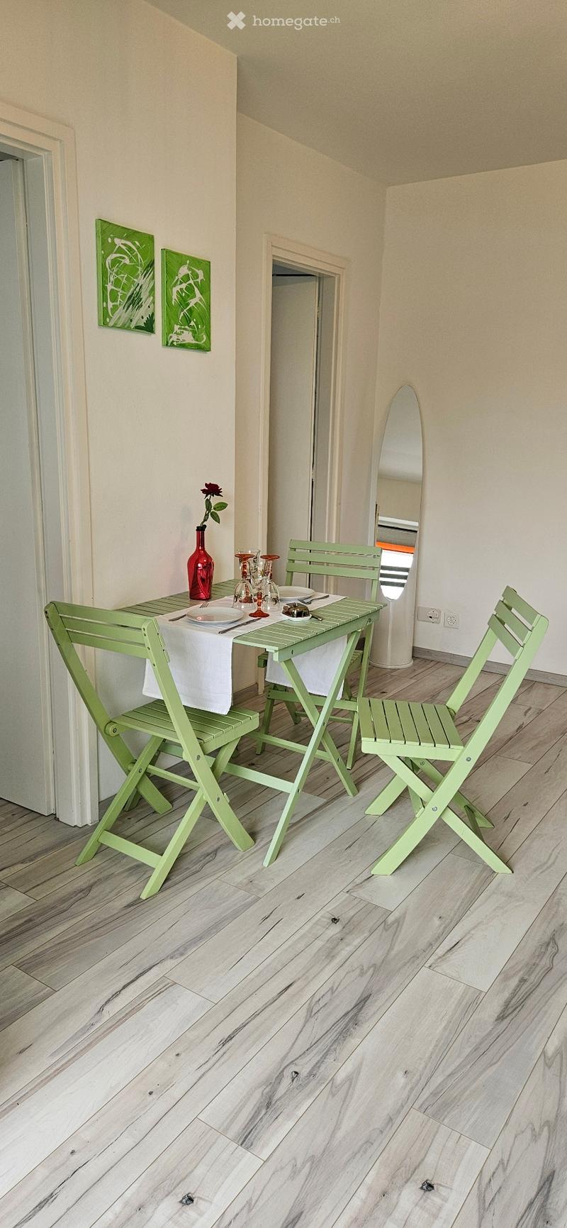 Sonnige 2,5 Zimmerwohnung (3)