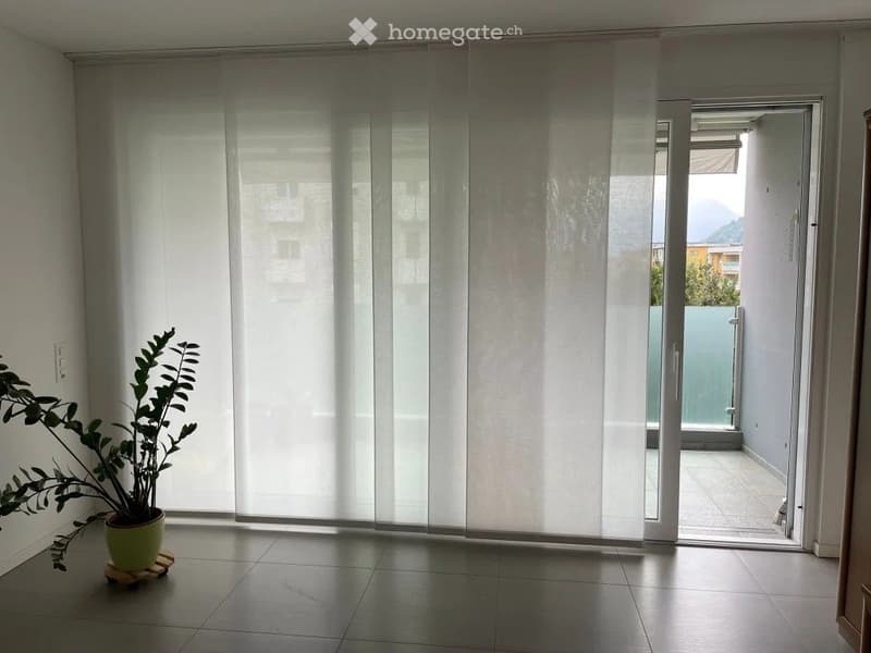 Appartamento di 2,5 locali a Bellinzona (5)