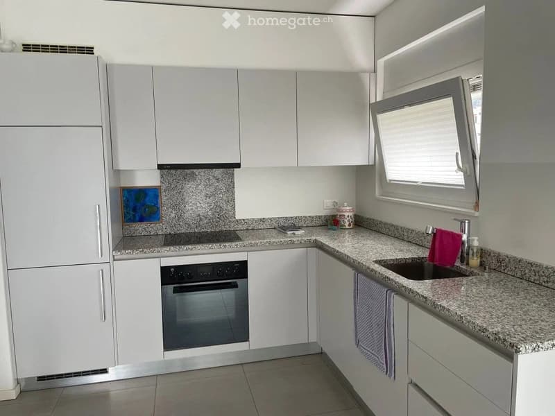 Appartamento di 2,5 locali a Bellinzona (4)