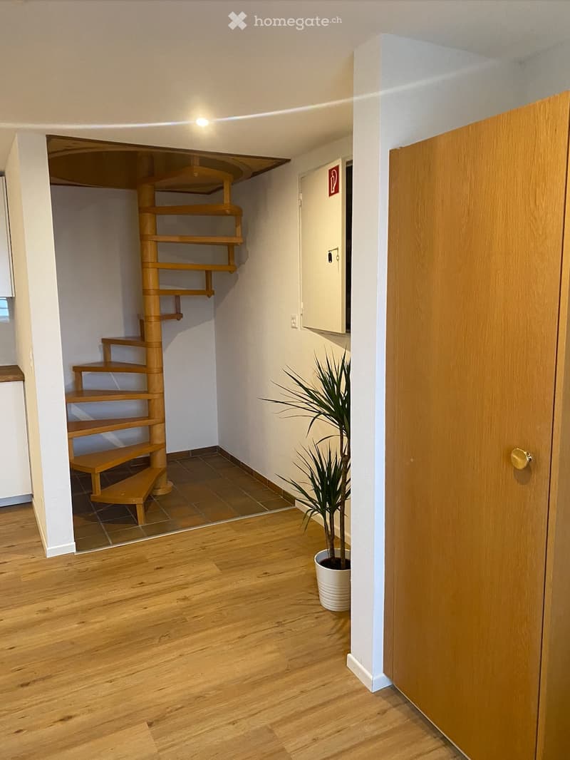 Möbiliertes 2.5 Zi Haus, sonnig, ruhig (4)
