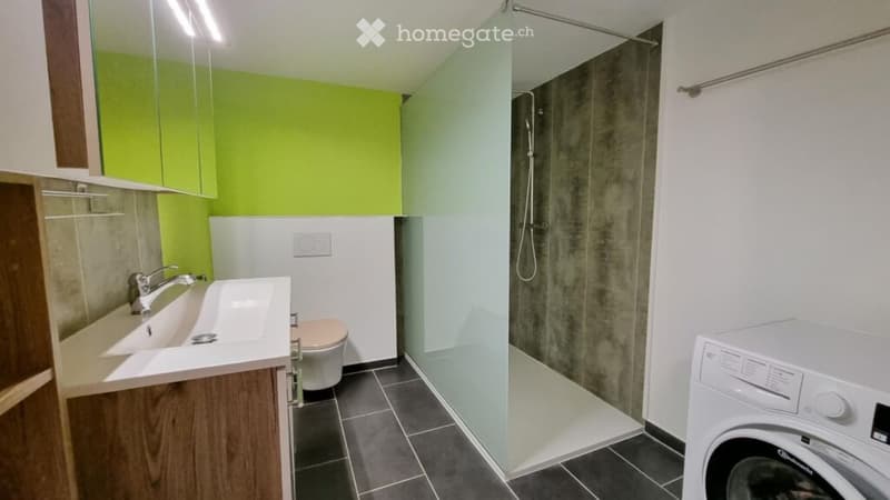 4,5 zimmer Wohnung mit grosser Terrasse (4)