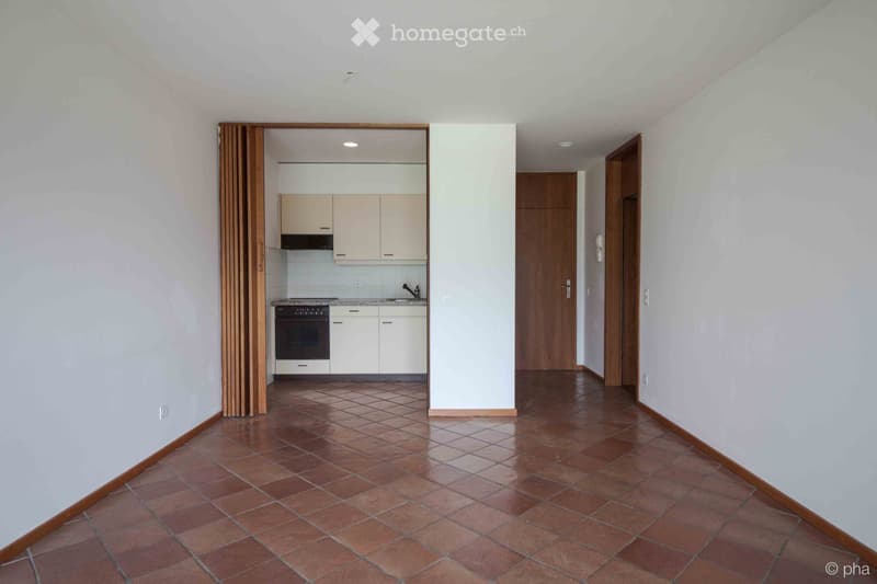 Affittasi 2.5 locali a Melide con terrazzo vista lago (2)