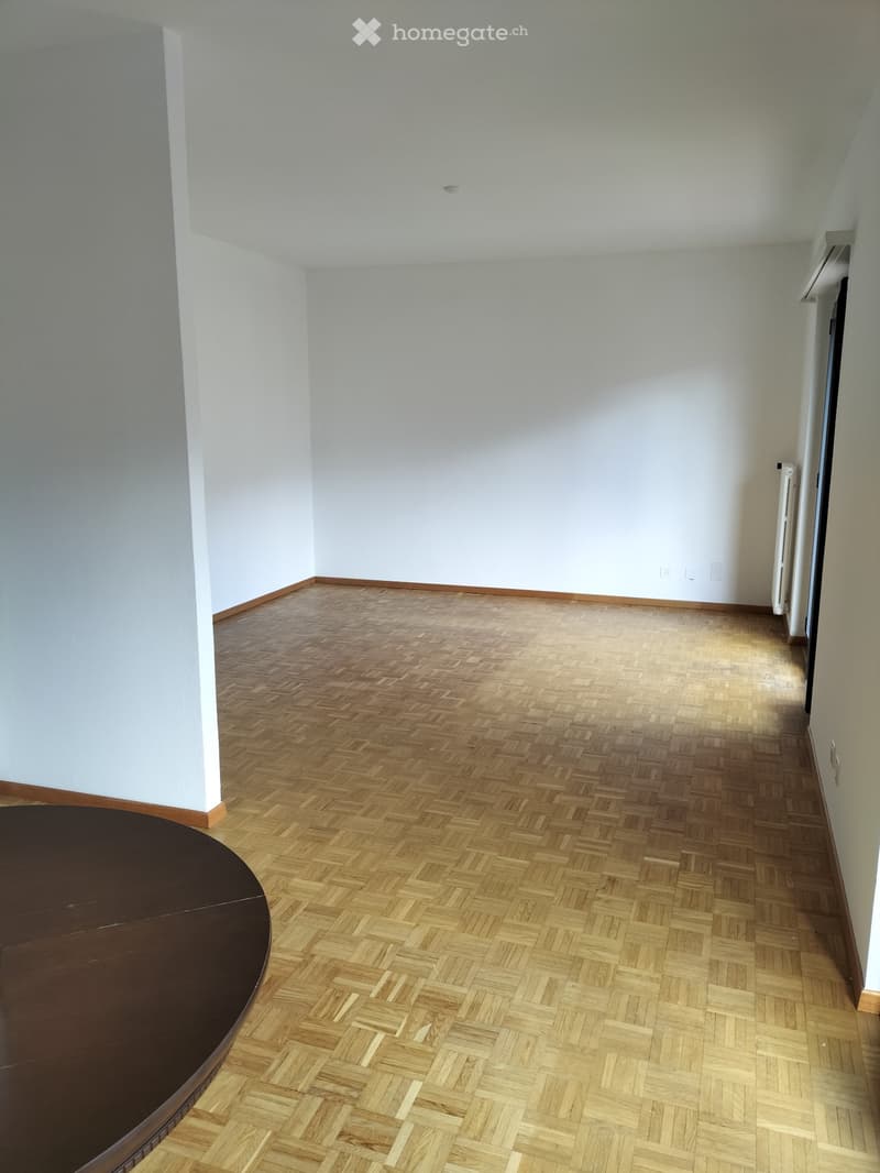 Affitto 3 1/2 locali arredato  t.c. Bellinzona nord (2)