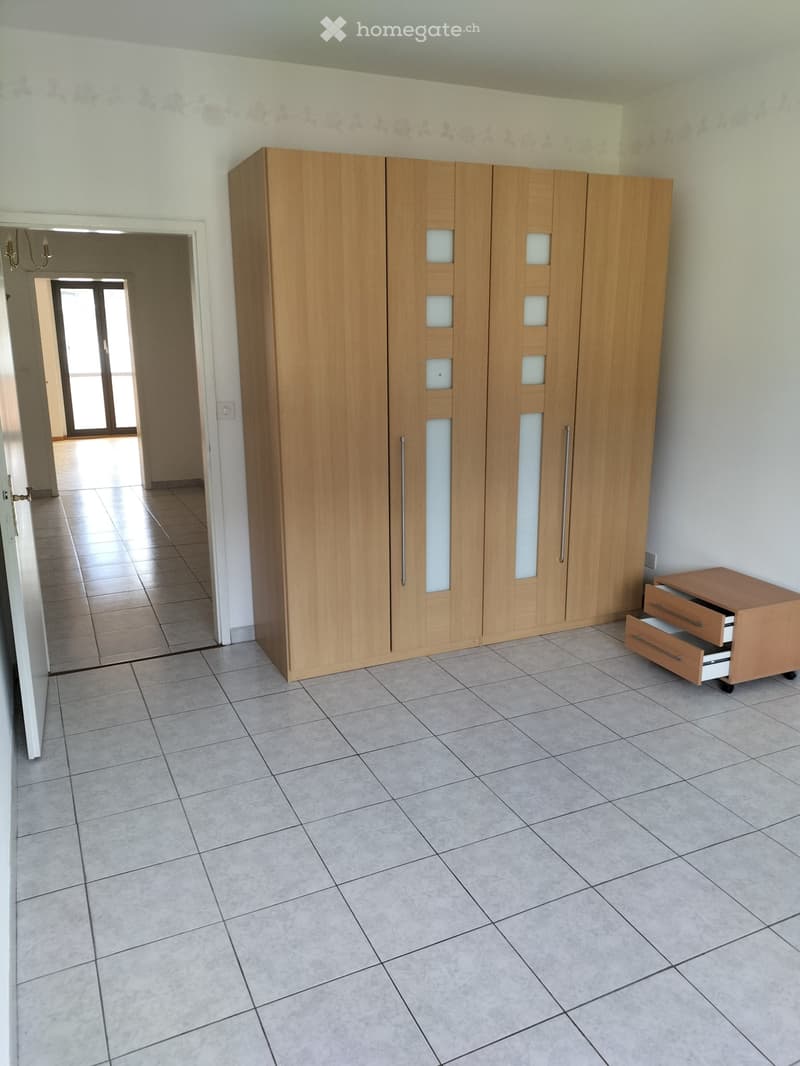 Affitto 3 1/2 locali arredato  t.c. Bellinzona nord (3)