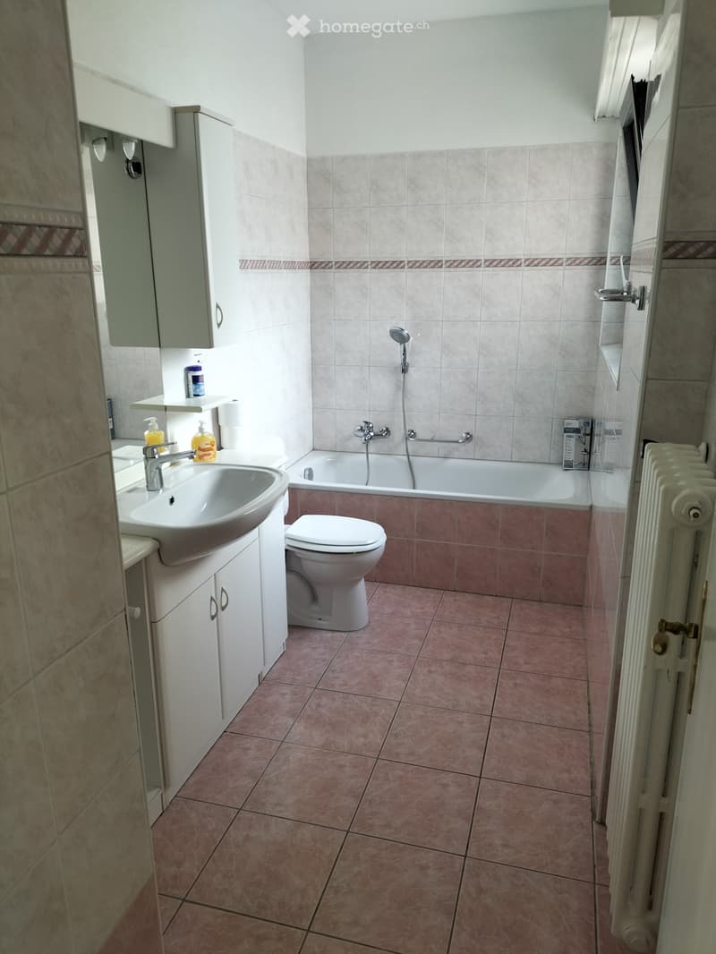 Affitto 3 1/2 locali arredato  t.c. Bellinzona nord (4)