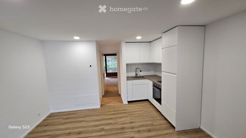 Moderne, sonnige 2.5-Zimmer-Wohnung (4)