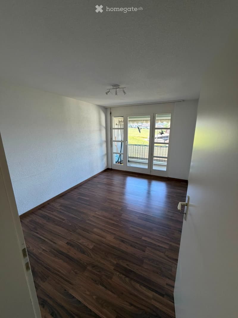 Schöne 4.5 Zimmer Wohnung (3)