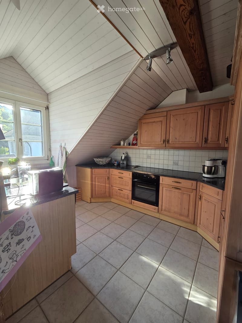 Zentrale helle Dachwohnung (3)