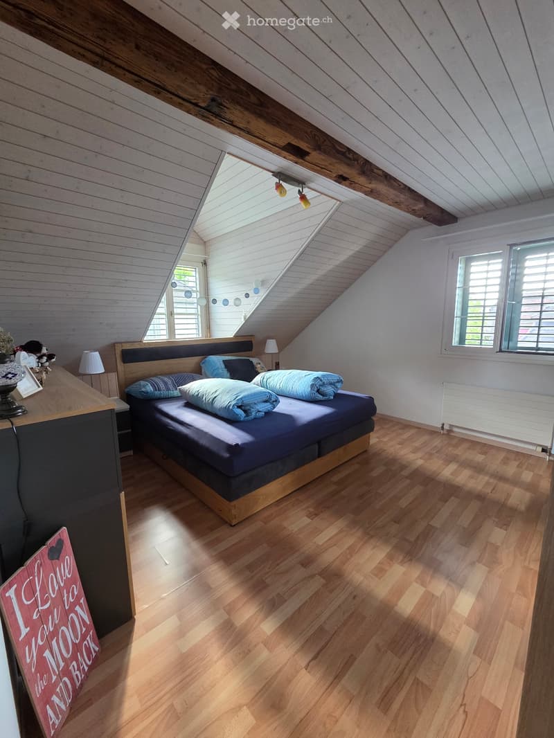 Zentrale helle Dachwohnung (4)