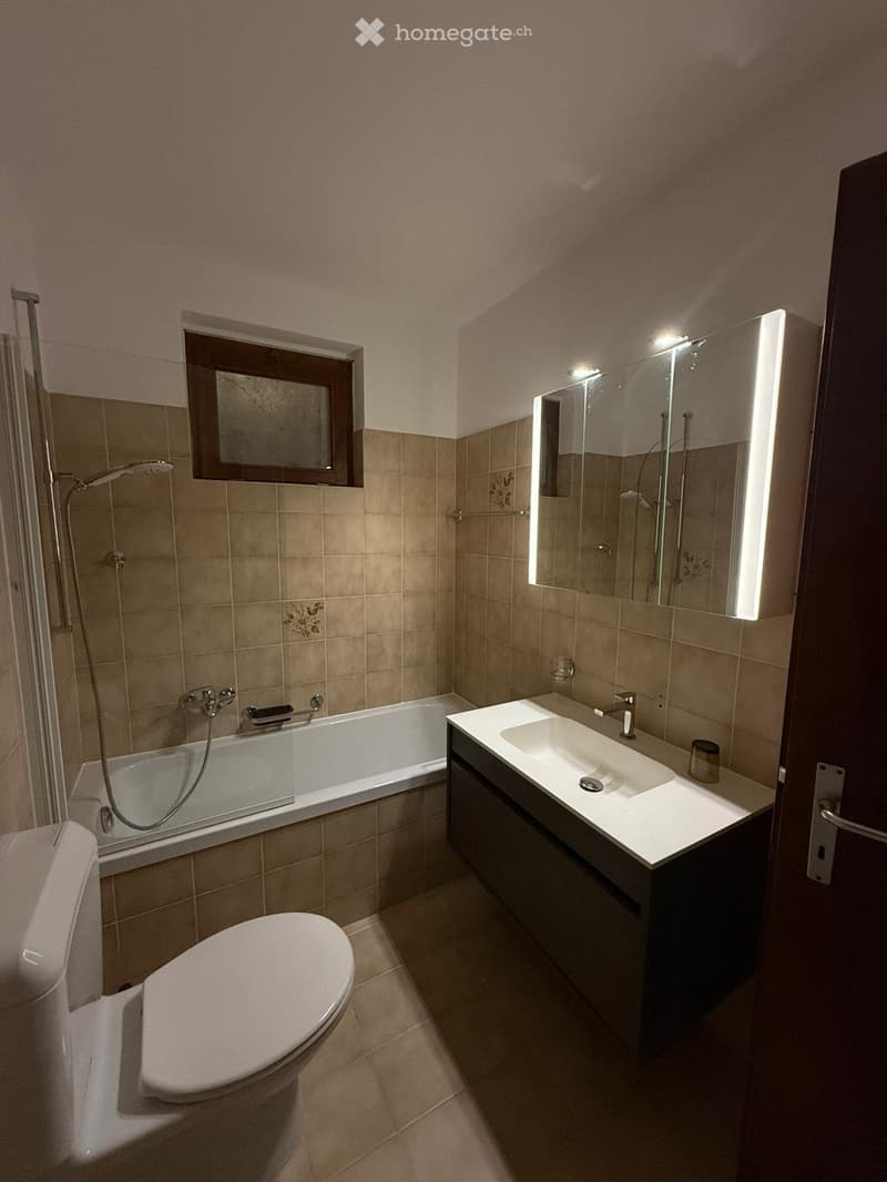 Affittasi bellissimo appartamento 3.5 locali a Pregassona (5)
