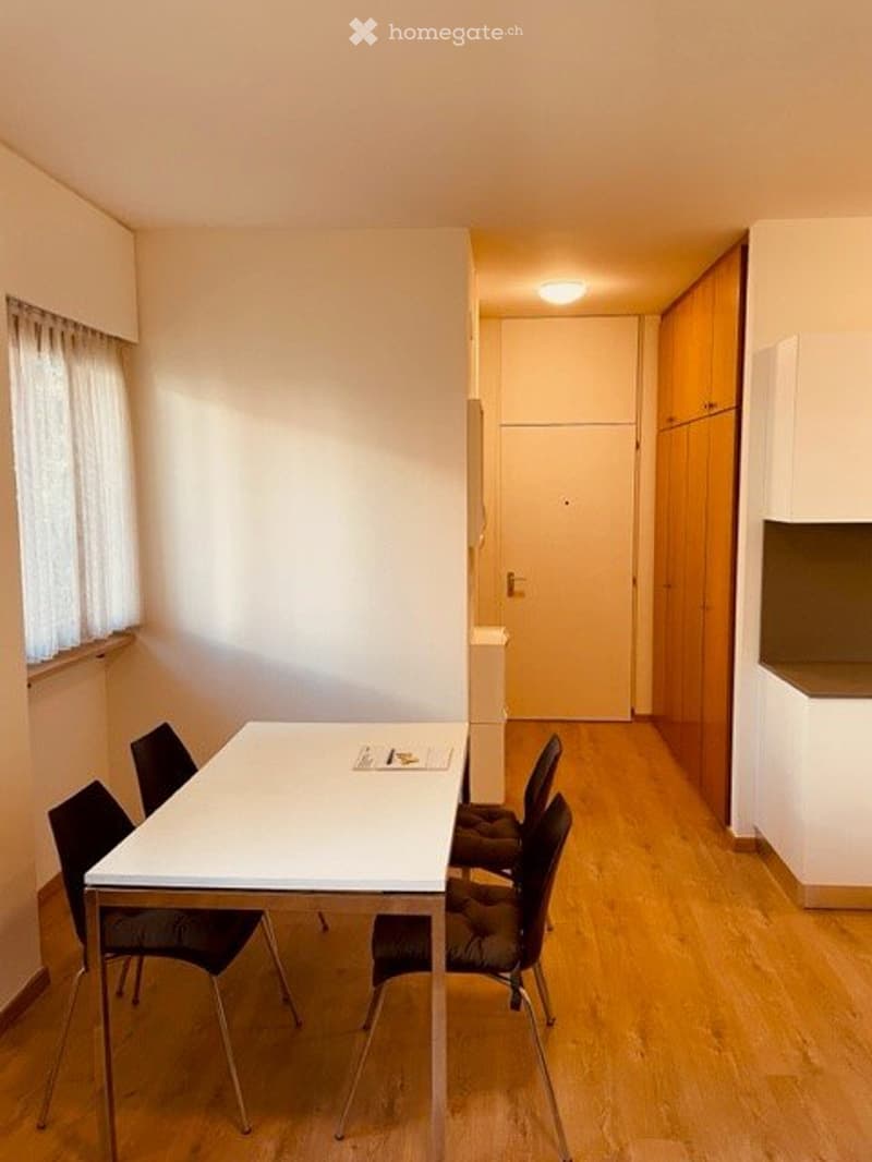 Affittasi grazioso appartamento ammobiliato zona Besso (3)