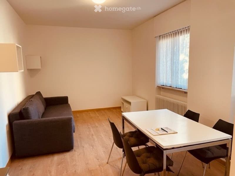 Affittasi grazioso appartamento ammobiliato zona Besso (2)