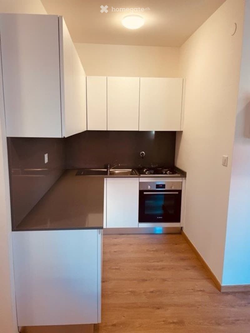 Affittasi grazioso appartamento ammobiliato zona Besso (4)