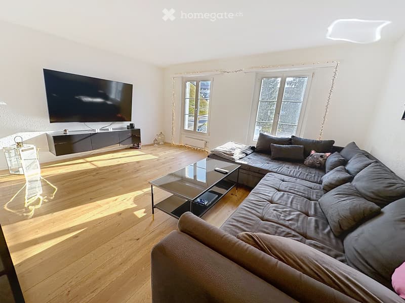 Moderne 3.5 Zimmer Wohnung mit neuer Küche und Parketboden (2)