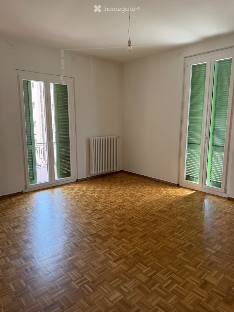 Ampio 3.5 locali con cucina separata e balcone (4)
