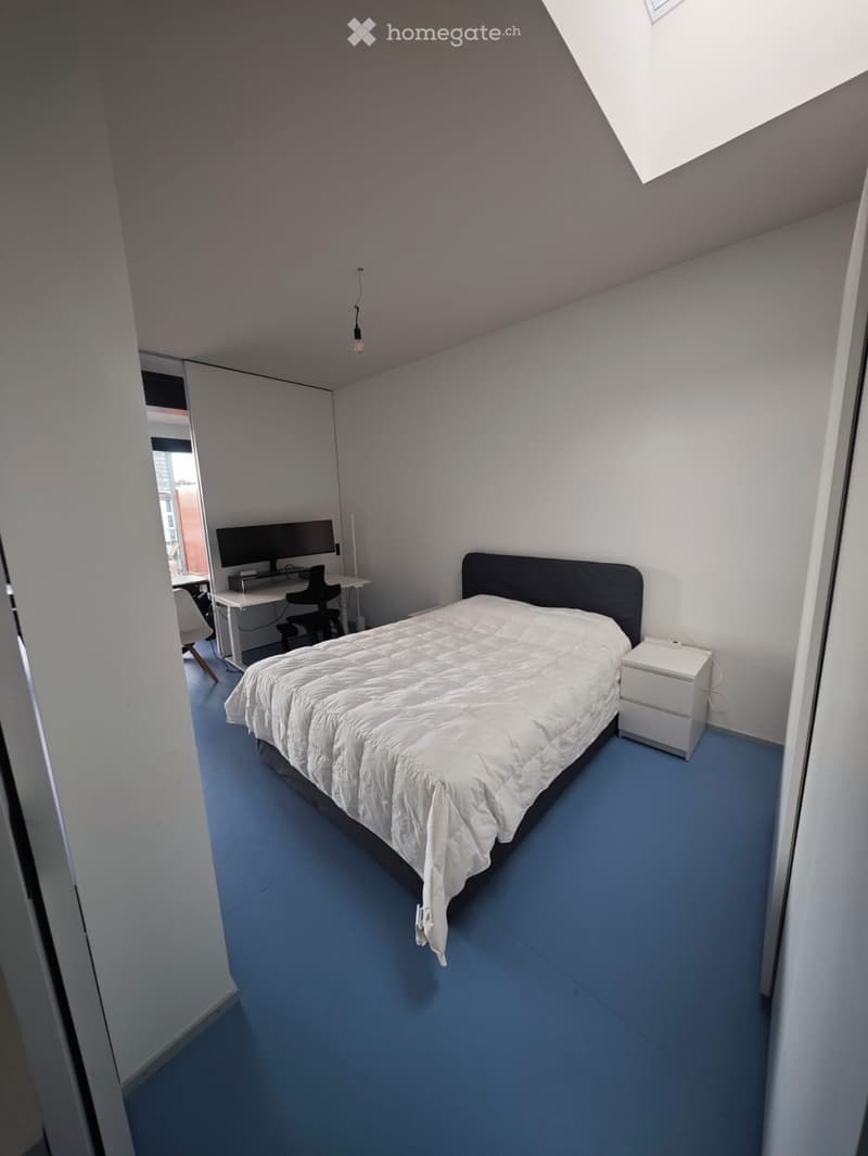 Modern Furnished Apartment near Zurich June Rental DISCOUNT (2)