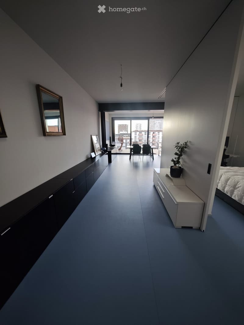 Modern Furnished Apartment near Zurich June Rental DISCOUNT (3)