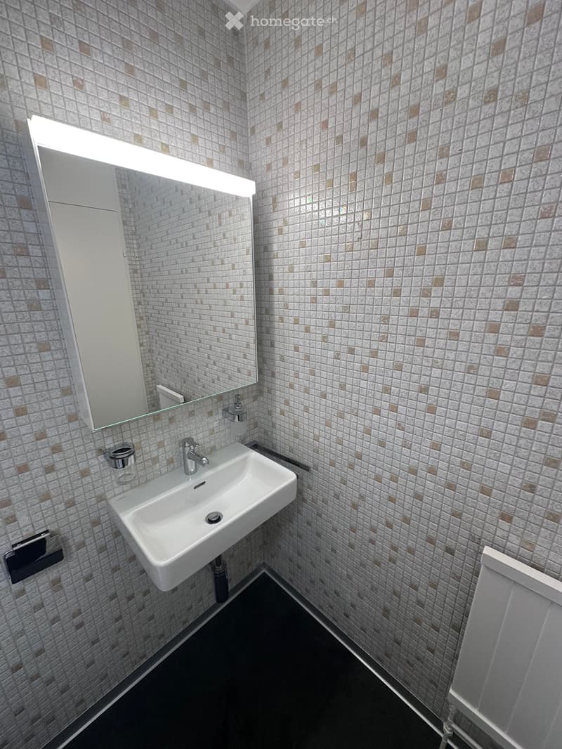 1-Zimmer-Wohnung (3)