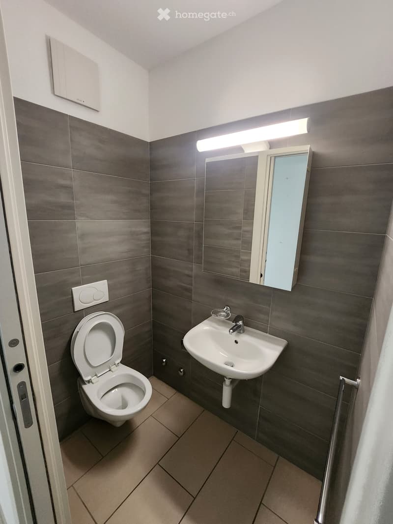 Appartamento 3.5 locali a Viganello (5)