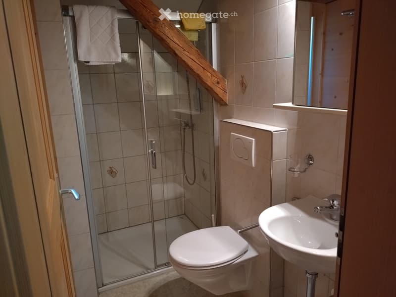WG Zimmer (4)