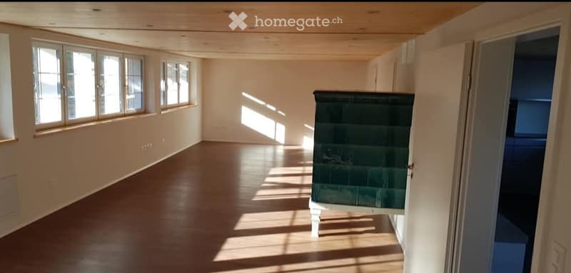 7 Zimmer Wohnung (4)