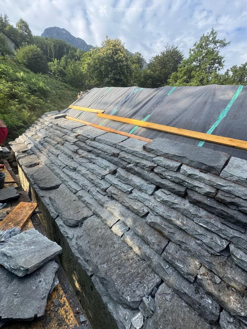 Rustico immerso nella natura con progetto approvato (3)