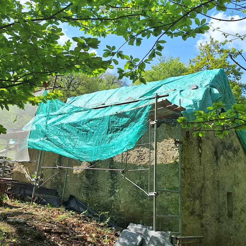 Rustico immerso nella natura con progetto approvato (2)