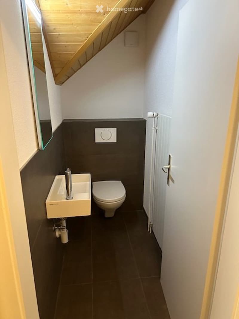 Grosszügige 2,5 Zimmer Wohnung zu vermieten (4)