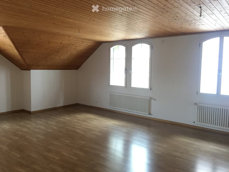 Grosszügige 2,5 Zimmer Wohnung zu vermieten (5)
