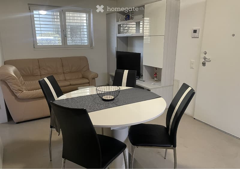 BILOCALE - ARREDATO - COMFORT DA SUITE (1)