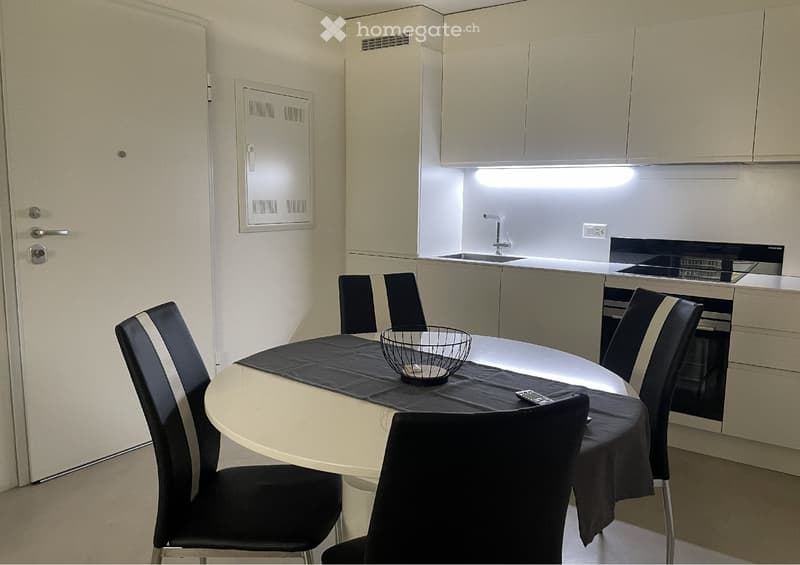 BILOCALE - ARREDATO - COMFORT DA SUITE (2)