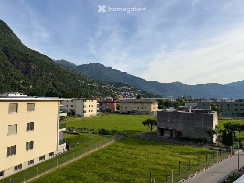 Cerco subentrante appartamento 3.5  Bellinzona (5)