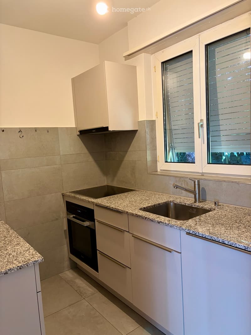 Casa a schiera con vista lago a Castagnola (4)