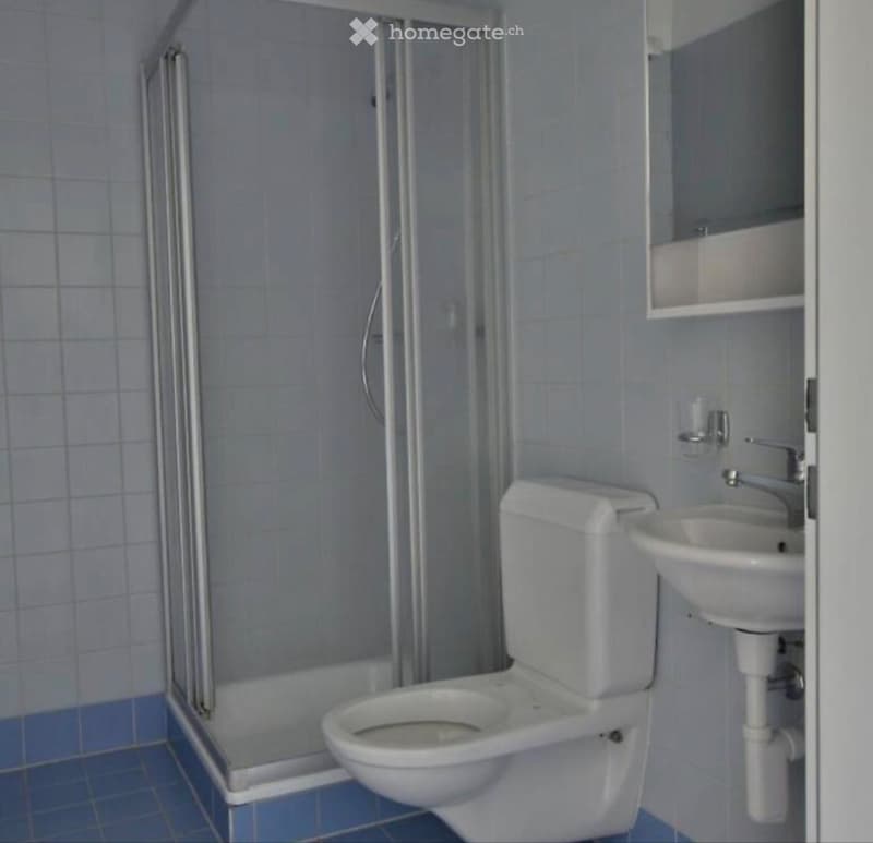 Lodrino, 4.5 ristrutturato, 1 mese gratis (2)