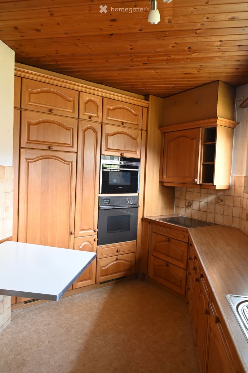 9.5 Zimmer EFH für Wohnen und Arbeiten unter einem Dach (5)