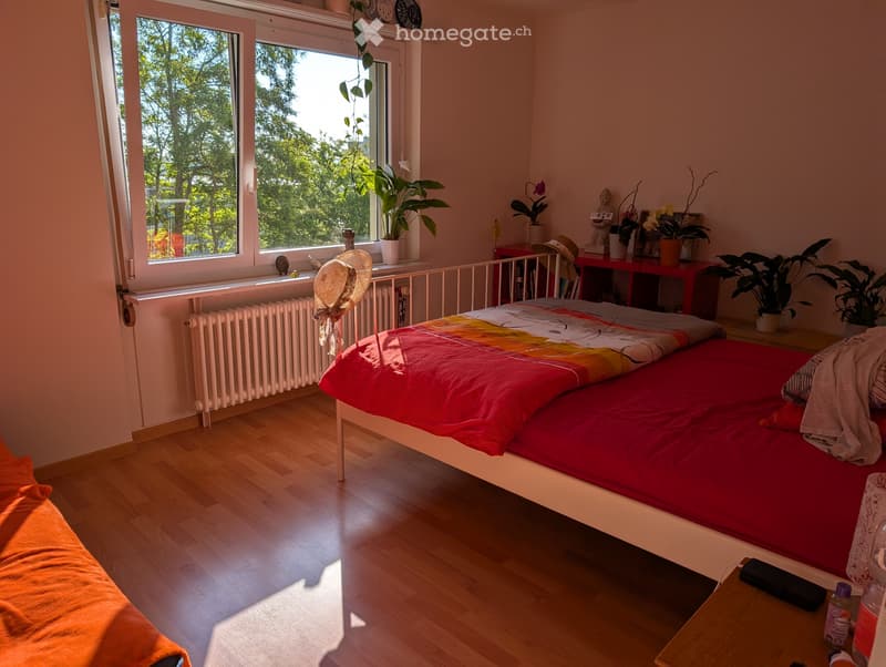 Nachmieter  gesucht (2)