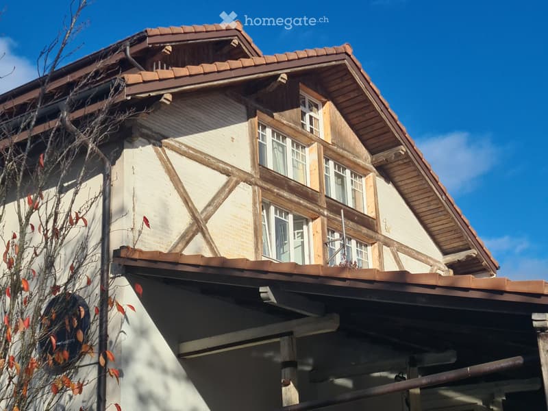 Sehr gute, zentrale Lage (3)
