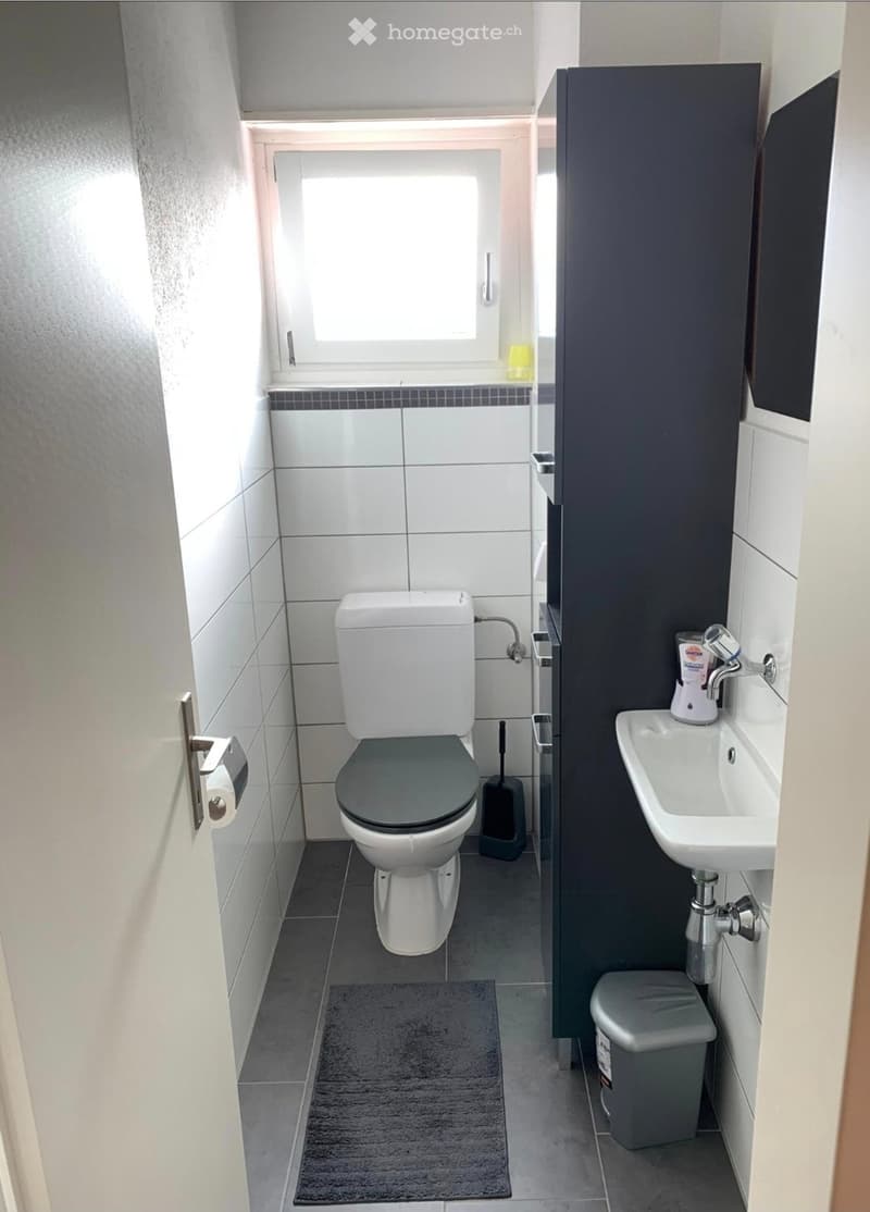 Charmante 3,5 Zimmer Wohnung an Top Lage (3)