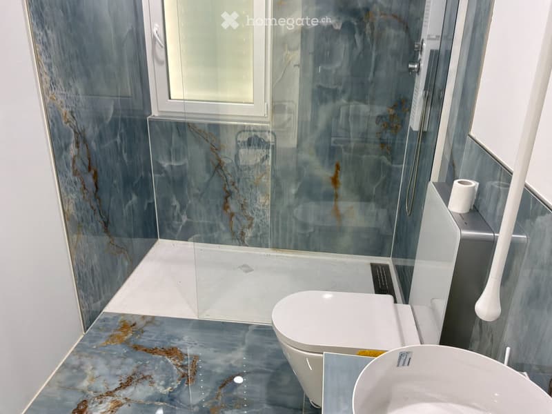 Attikawohnung 2.5Zi mit grosser Terasse - Erstbezug ! (3)