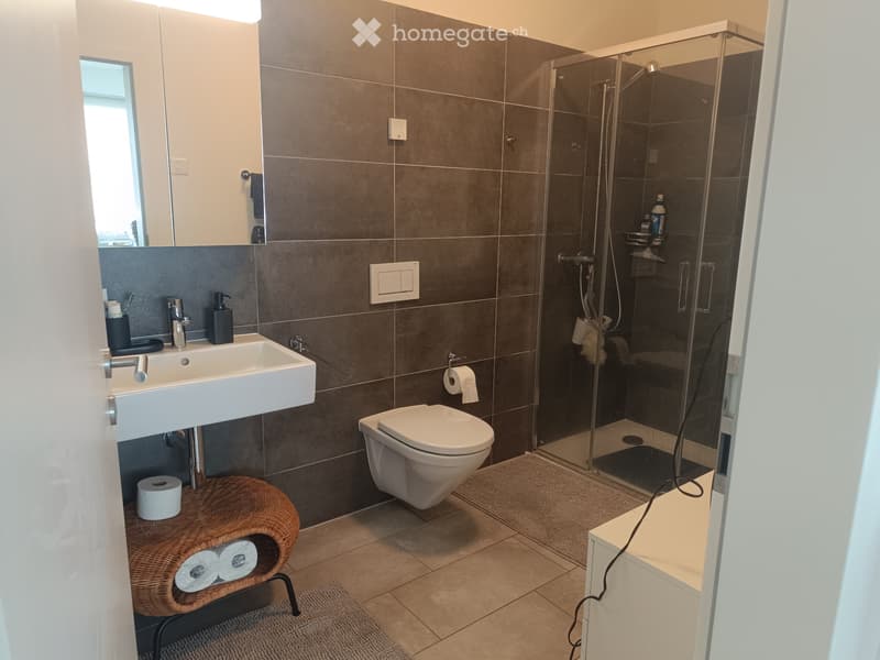 Subentrante Moderno 2.5 Massagno (2)