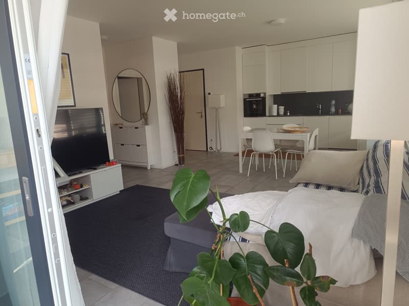 Subentrante Moderno 2.5 Massagno (1)