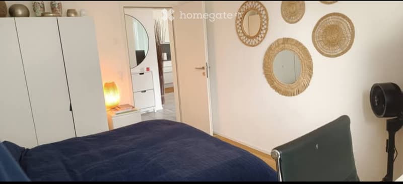 Subentrante Moderno 2.5 Massagno (3)