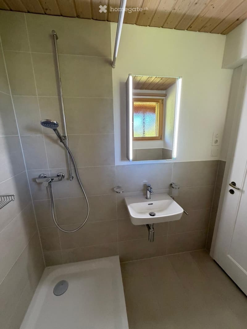 5.5 Zimmer-EFH mit grossem Umschwung (5)
