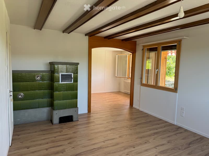 5.5 Zimmer-EFH mit grossem Umschwung (3)
