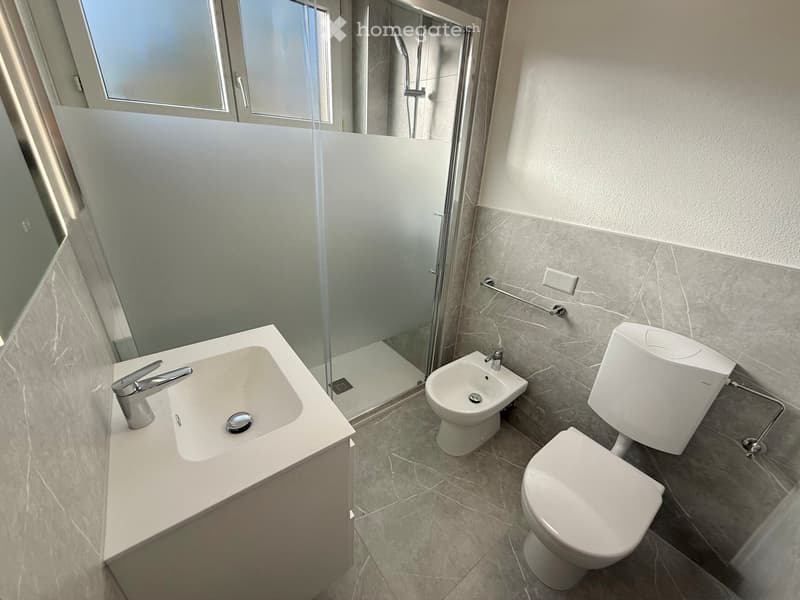 FINO A 3 MESI GRATUITI - 3.5 locali con piscina a Lugano (7)