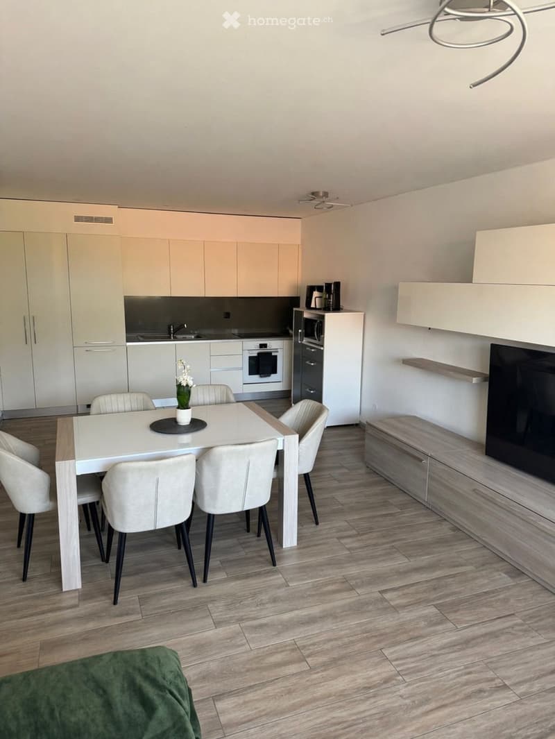 2.5 LOCALI MODERNO E LUMINOSO  BELLINZONA (3)