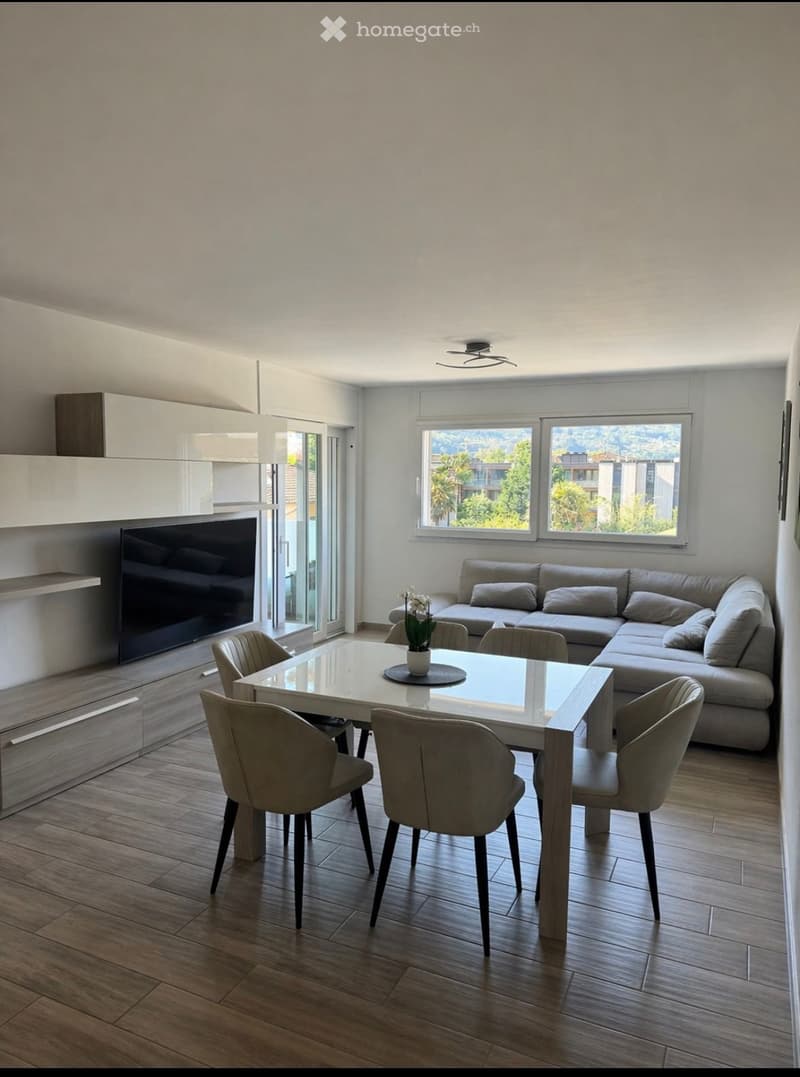 2.5 LOCALI MODERNO E LUMINOSO  BELLINZONA (2)