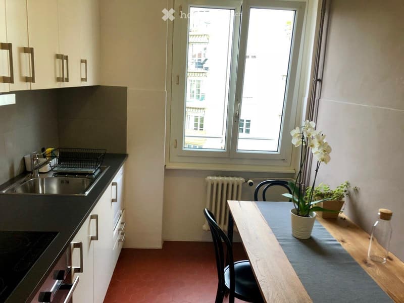 Bright Furnished 1-Bedroom apartment with Balcony (4)
